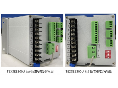 TEXSEE300U 系列智能在线监测终端